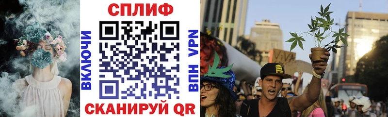 Где купить Ленинградская COCAIN  MEGA ТОР  Alpha-PVP  Бошки Шишки  Гашиш 