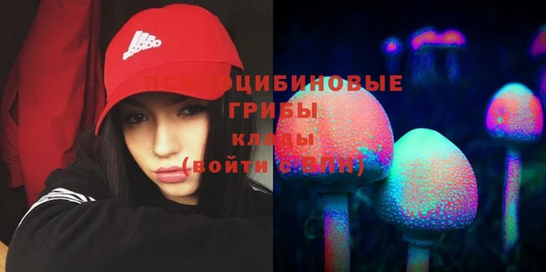 гидропоника Липки