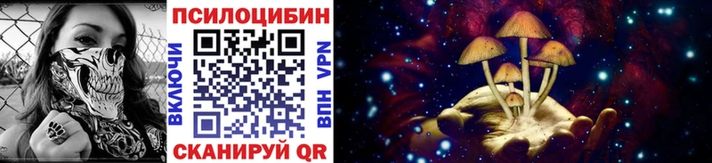 Псилоцибиновые грибы прущие грибы  Ленинградская 